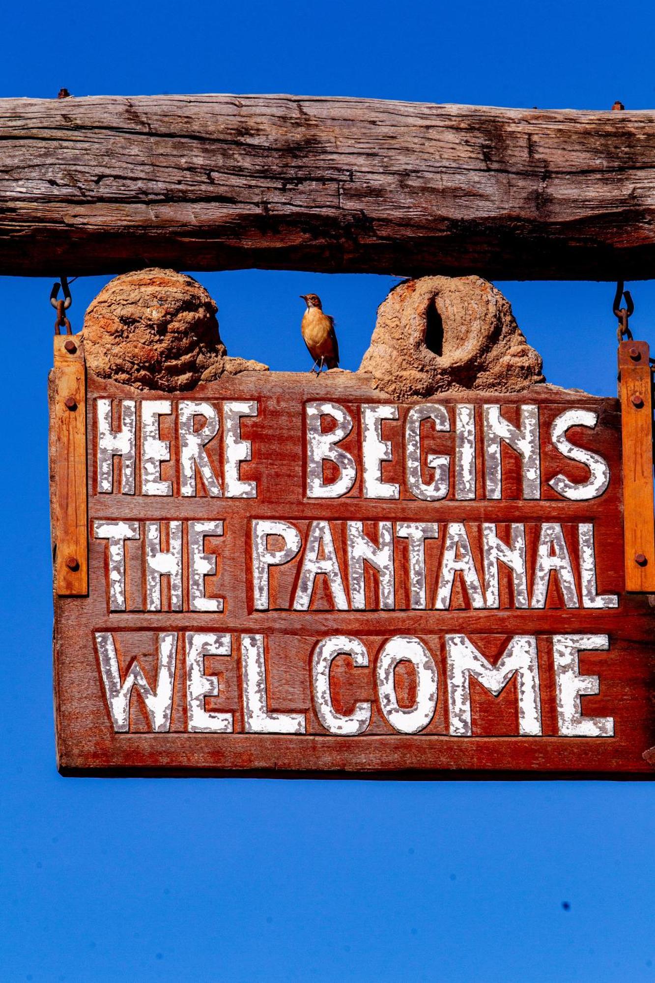 Hotel Pantanal Mato Grosso Poconé Exterior photo